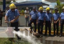 Foto: Revisión de cableado e hidrantes en el Mercado Oriental / TN8