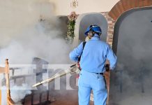 Foto: Fumigación en barrios de Managua / TN8