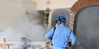 Foto: Fumigación en barrios de Managua / TN8