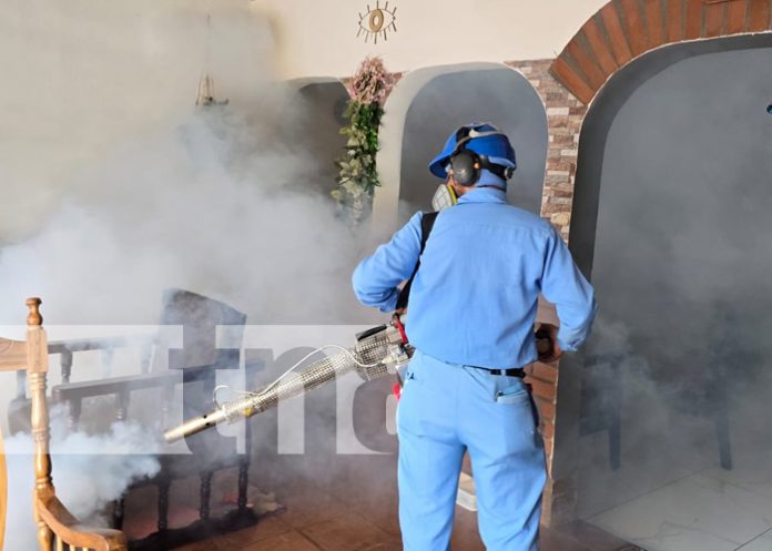 Foto: Fumigación en barrios de Managua / TN8 Foto: Fumigación en barrios de Managua / TN8