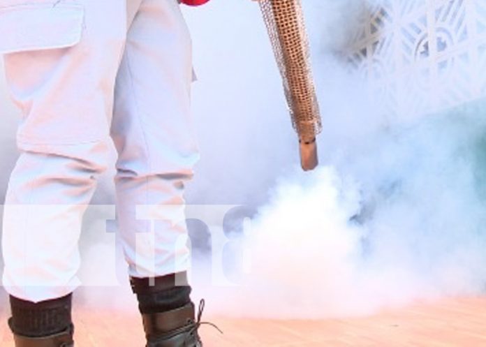 Foto: Fumigación en el barrio San Luis, Managua / TN8 Foto: Fumigación en el barrio San Luis, Managua / TN8