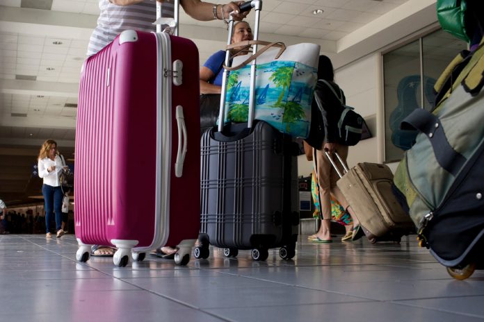 Foto: Hallan a niña dentro de una maleta en Nueva Zelanda /Cortesía