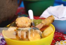 Madriz celebra la cultura gastronómica con festival lleno de sabor y tradición Foto: Festival de gastronomía en Madriz / TN8