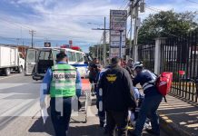 Cruce de cortesía termina en choque: mujer herida en el Km 8 Carretera Sur Foto: Mujer con lesiones tras accidente en Carretera Sur / TN8