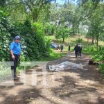 De ultratumba: Matan a chavalo y lo dejan casi decapitado en Matagalpa Foto: Horrendo crimen en Rancho Grande, Matagalpa / TN8