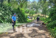 De ultratumba: Matan a chavalo y lo dejan casi decapitado en Matagalpa Foto: Horrendo crimen en Rancho Grande, Matagalpa / TN8