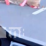 Anciano sufre graves lesiones tras ser atropellado en la Carretera a Masaya Foto: Fuerte accidente en Carretera a Masaya / TN8