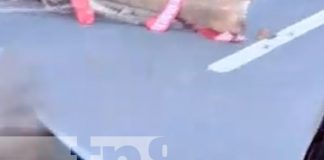 Foto: Fuerte accidente en Carretera a Masaya / TN8
