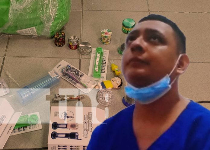 Foto: Audiencia por Vaporizadores y gomitas de marihuana  en Nicaragua / TN8 Foto: Audiencia por Vaporizadores y gomitas de marihuana en Nicaragua / TN8