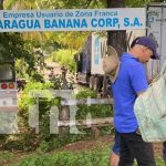 Viernes negro en León: trabajador muere arrollado por un furgón que se dio a la fuga Foto: Muere arrollado por furgón en Malpaisillo, León /TN8