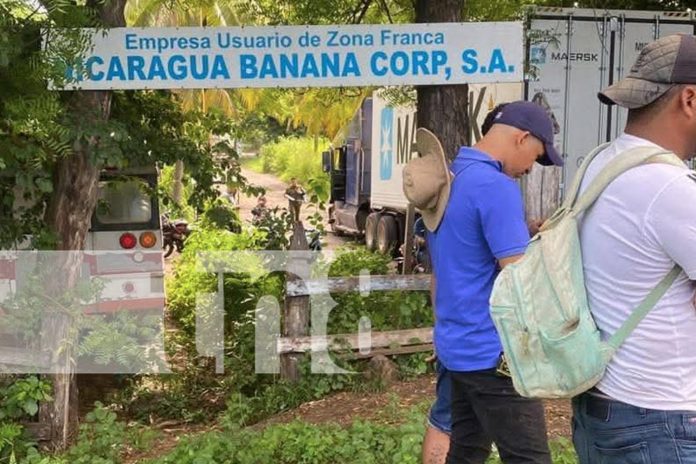 Foto: Muere arrollado por furgón en Malpaisillo, León /TN8 Foto: Muere arrollado por furgón en Malpaisillo, León /TN8