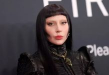 Foto: Lady Gaga cancela concierto /cortesía