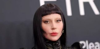 Foto: Lady Gaga cancela concierto /cortesía