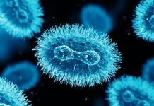 La OMS pone fin a la emergencia global por la viruela del mono Foto: OMS levanta la alerta sanitaria /cortesía