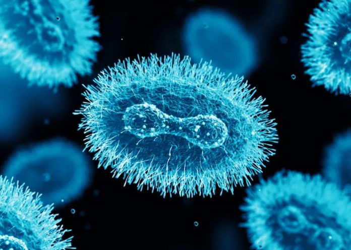 Foto: OMS levanta la alerta sanitaria /cortesía Foto: OMS levanta la alerta sanitaria /cortesía