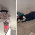 Niña de 6 años rescatada tras vivir toda su vida encerrada por sus padres en Brasil