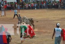 Fallece Señor tras embestida de toro en las pasadas fiestas tradicionales de Juigalpa Foto: Fallece Señor tras embestida de toro en las pasadas fiestas tradicionales de Juigalpa/TN8