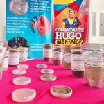 38 investigaciones fortalecen la agricultura sostenible en Nicaragua