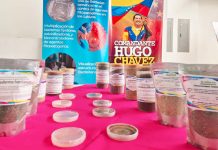 38 investigaciones fortalecen la agricultura sostenible en Nicaragua