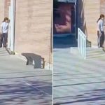 Menor de 14 años dispara y se atrinchera en un colegio de Argentina Foto: Tensión en Argentina /cortesía