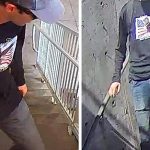 Trump confirma la detención del presunto asesino de Charlie Kirk en Utah Foto: Trump sobre el asesinato de Charlie Kirk /cortesía