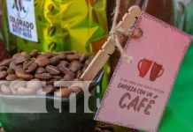Expoferia de Café Especial une a productores en el Mirador de Catarina Foto: Expoferia de café en Catarina /TN8