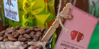 Foto: Expoferia de café en Catarina /TN8