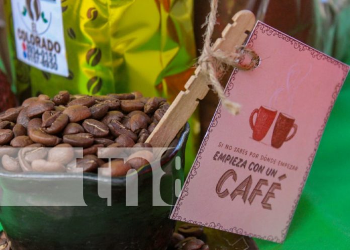 Foto: Expoferia de café en Catarina /TN8 Foto: Expoferia de café en Catarina /TN8