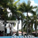 ¡Diversión y naturaleza! Laguna San Martín en La Dalia estrena Animatronics Foto: ¡Diversión y naturaleza! Laguna San Martín en La Dalia estrena Animatronics/TN8