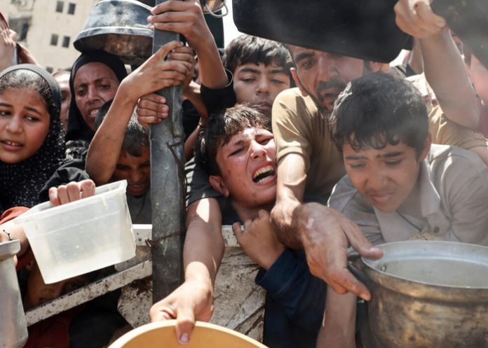 Foto: Hambruna en Gaza /cortesía Foto: Hambruna en Gaza /cortesía