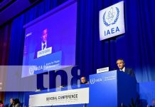 Foto: Nicaragua ante la OIEA /cortesía