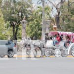 Granada se llena de turistas nacionales y extranjeros este 15 de septiembre Foto: Lago Cocibolca y su belleza atraen a turistas en Granada/TN8