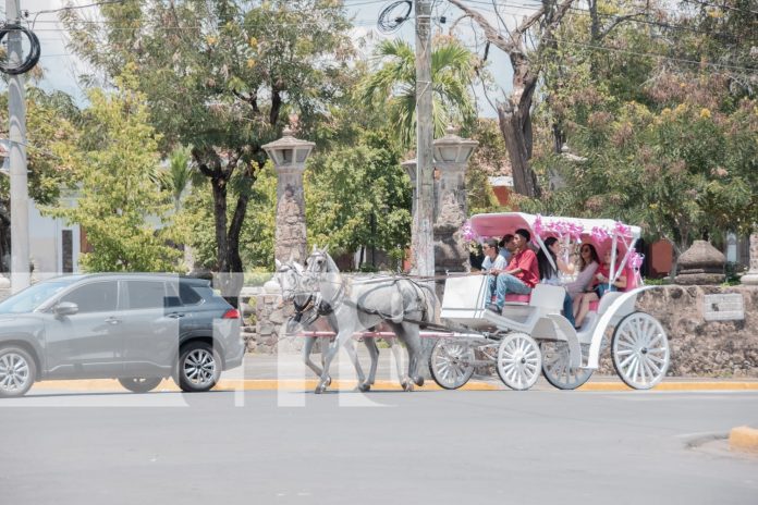 Foto: Lago Cocibolca y su belleza atraen a turistas en Granada/TN8 Foto: Lago Cocibolca y su belleza atraen a turistas en Granada/TN8