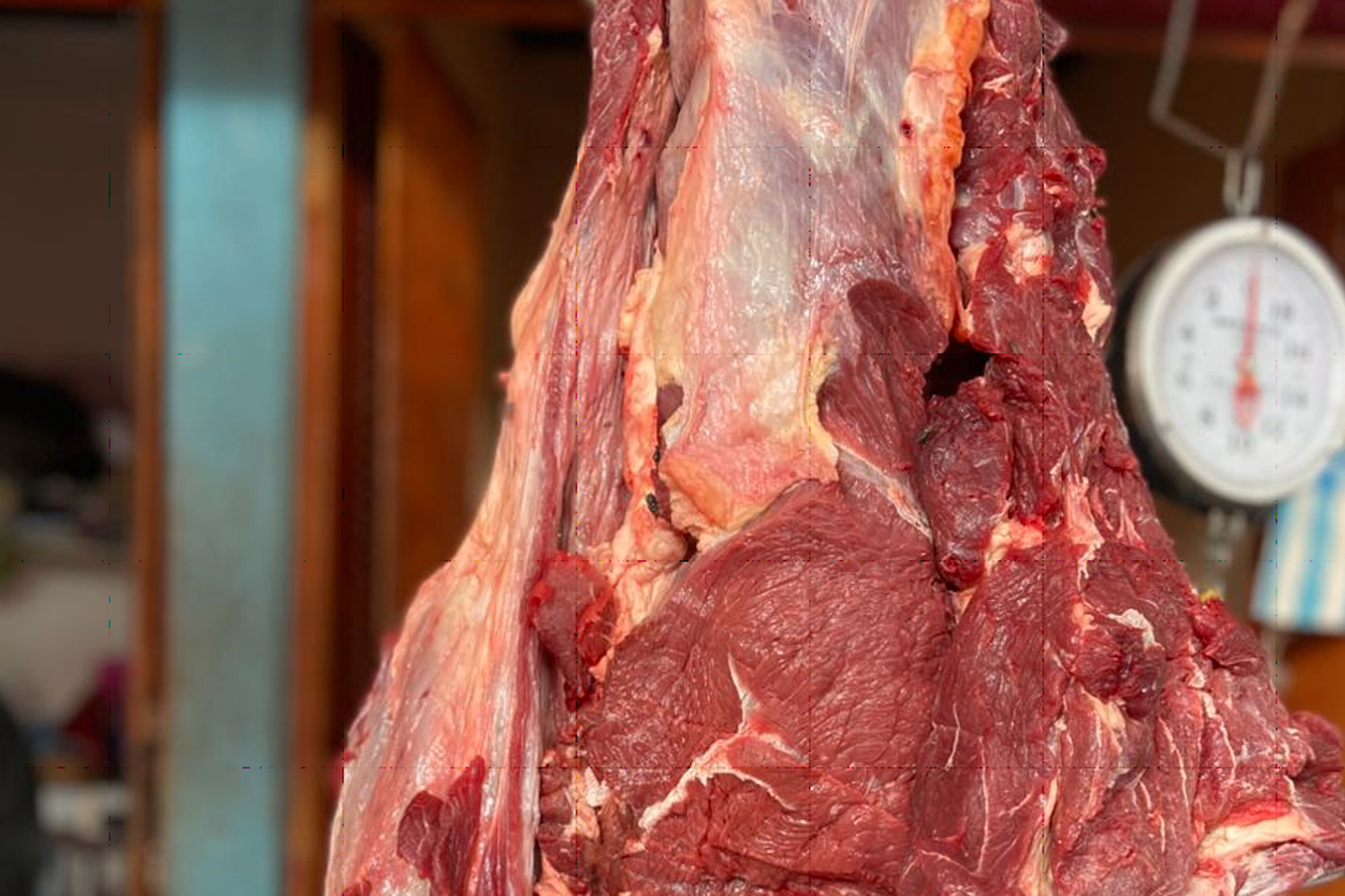 Foto: Nicaragua impulsa economía y exportaciones/Cortesía