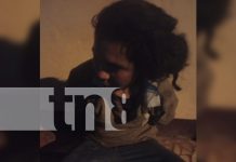 «Lo agarraron con las manos en la masa» Vecinos capturan a delincuente en Ciudad Sandino Foto: "Lo agarraron con las manos en la masa" Vecinos capturan a delincuente en Ciudad Sandino/TN8