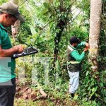 MARENA avanza en la tercera etapa del Inventario Nacional Forestal 2025 Foto: MARENA impulsa manejo sostenible de los recursos forestales del país/Cortesía