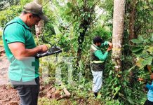 MARENA avanza en la tercera etapa del Inventario Nacional Forestal 2025 Foto: MARENA impulsa manejo sostenible de los recursos forestales del país/Cortesía