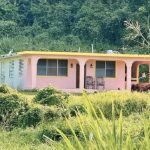 Disparos contra “La Casita” de Bad Bunny en medio de demanda millonaria Foto: Disparos contra “La Casita”: investigación abierta en Puerto Rico /Cortesía