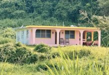 Foto: Disparos contra “La Casita”: investigación abierta en Puerto Rico /Cortesía