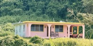 Foto: Disparos contra “La Casita”: investigación abierta en Puerto Rico /Cortesía
