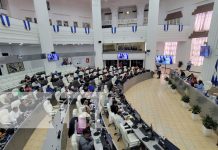 Foto: Nicaragua ha elegido el nuevo Consejo Ejecutivo de la OMI para 2026-2027 /TN8