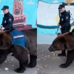 Policía ruso camina con un enorme oso y el video se vuelve viral Foto:Lo más ruso que verás hoy: oficial y oso patrullan juntos/CortesíaFoto:Lo más ruso que verás hoy: oficial y oso patrullan juntos/Cortesía