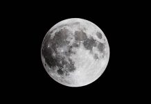 Noche mágica: así se verá la Superluna más esperada del 2025 Foto: Superluna de octubre /cortesía