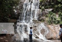 ¡Naturaleza y aventura! Reto extremo en la cascada de Bilanpi atrae turistas a Río Blanco Foto: ¡Naturaleza y aventura! Reto extremo en la cascada de Bilanpi atrae turistas a Río Blanco/TN8