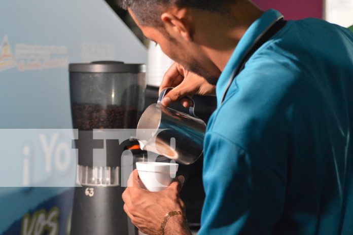 Foto: El café es protagonista en Ocotal /TN8 Foto: El café es protagonista en Ocotal /TN8