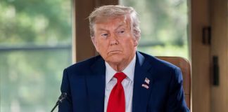 Foto: Donald Trump sobre el G20 en Sudáfrica /cortesía