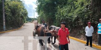 Foto: Diriá libera sus aceras de comercios y obstáculos/TN8