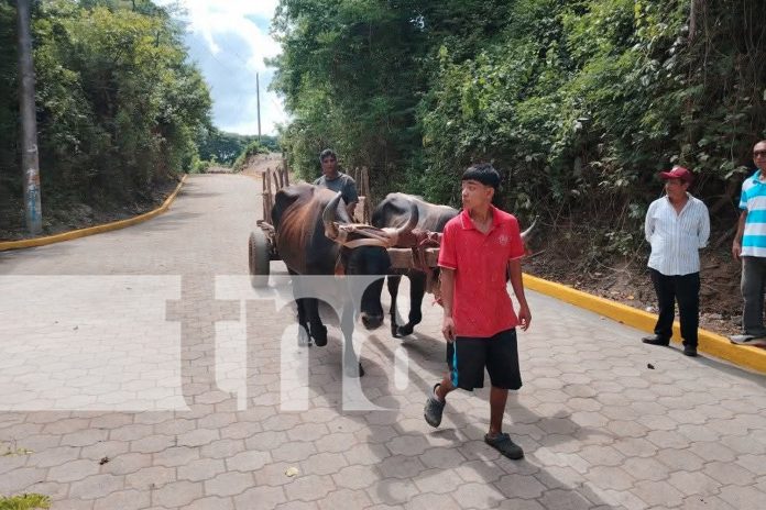 Foto: Diriá libera sus aceras de comercios y obstáculos/TN8 Foto: Diriá libera sus aceras de comercios y obstáculos/TN8