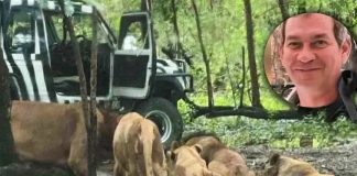 Foto: Tragedia en Safari World de Tailandia /Cortesía