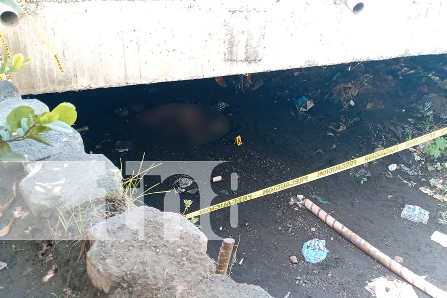 Foto: Investigan caso en la carretera Norte /TN8